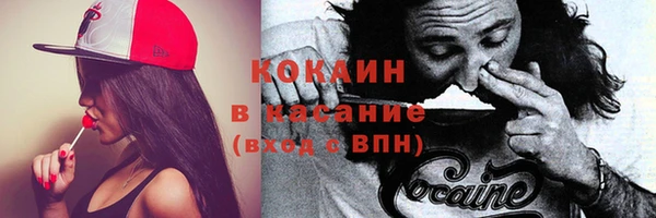 тгк Белокуриха