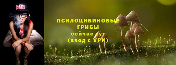 хмурый Белоозёрский