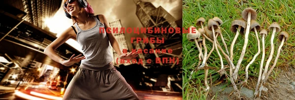 гидра Беломорск