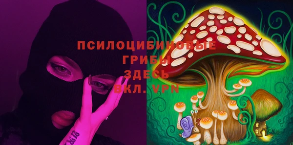 тгк Белокуриха