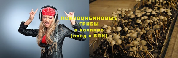 тгк Белокуриха