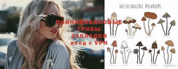 тгк Белокуриха