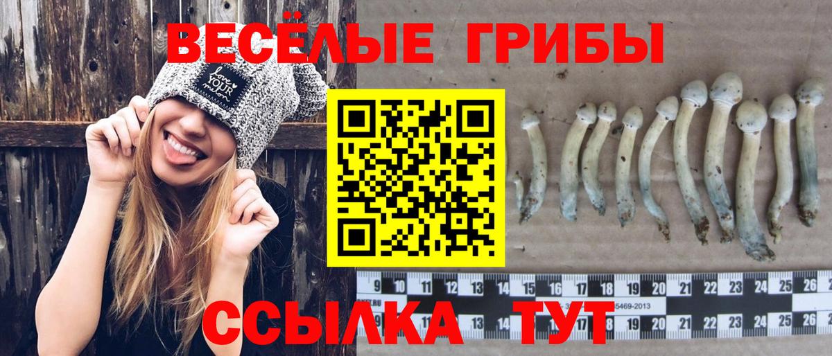 Псилоцибиновые грибы MAGIC MUSHROOMS Кунгур
